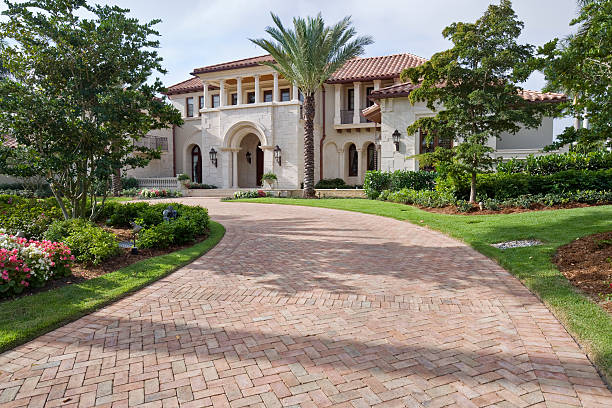 Best Driveway Paving Near Me  in Shingle Springs, CA